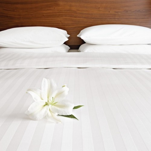 Mitre Comfort Satin Flat Sheet Oatmeal Single