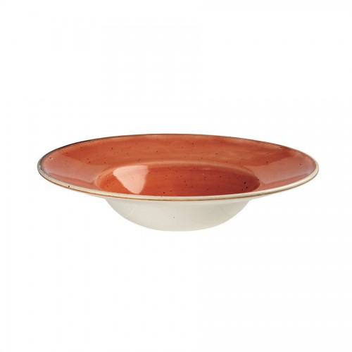 Spiced Orange Wide Rim Bowl 24cm