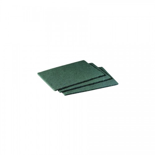 Scouring Pad