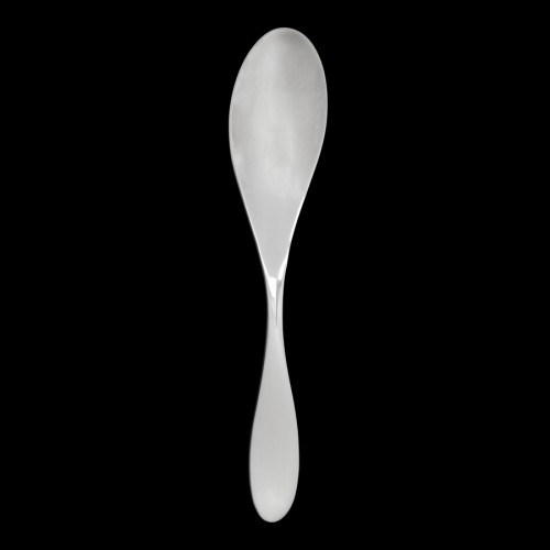 Gamma Serving Spoon - 18/10