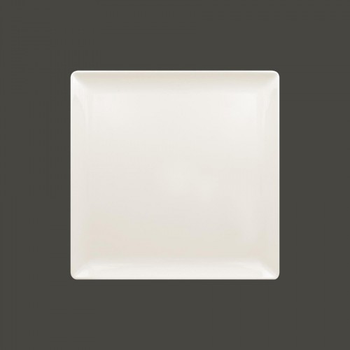 Nano Square Flat Plate 27cms