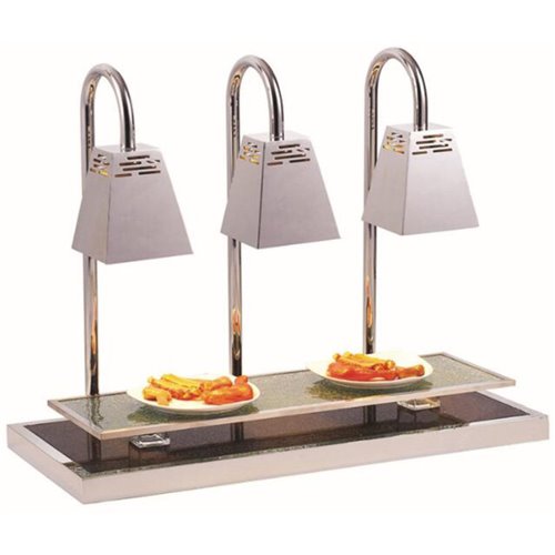 Dual lamp Carving station 600x450x770mm | A65103501