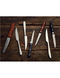 Steak Knives Sample Set