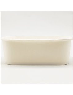 300pcs White Rectangular Bowl 750ml PE | Stalwart DA-WPRB750