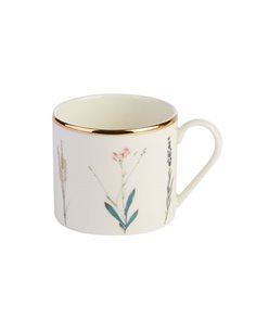 Botanical Cup 18cl STDP-328119