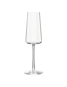 Power Champagne Flute238ml/8.5oz STDP-G159/29