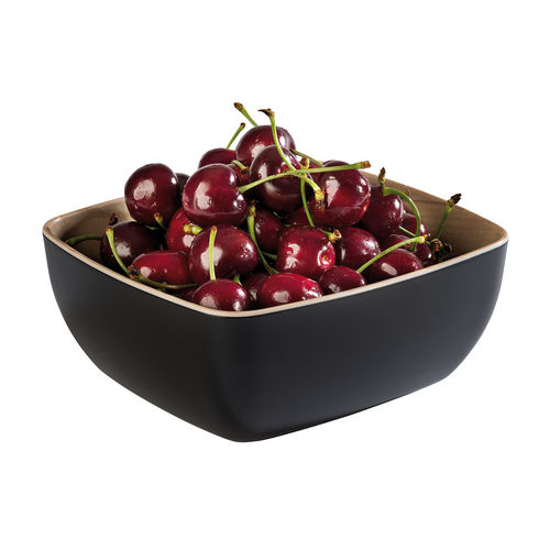 Frida GN 1/6 Schale Melamine Bowl (Black) 17.6 x 16.2cm STDP-84584