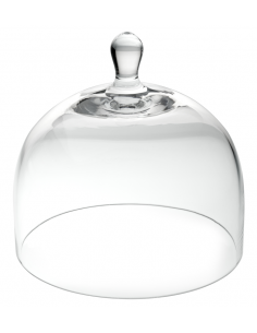 UTOPIA -Glass Cloche 6" (15cm)